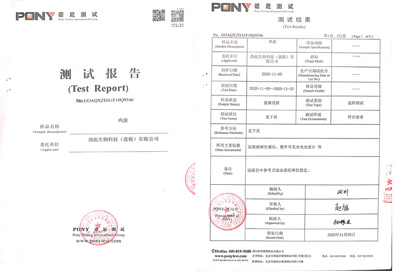 檢測報告（雞蛋）